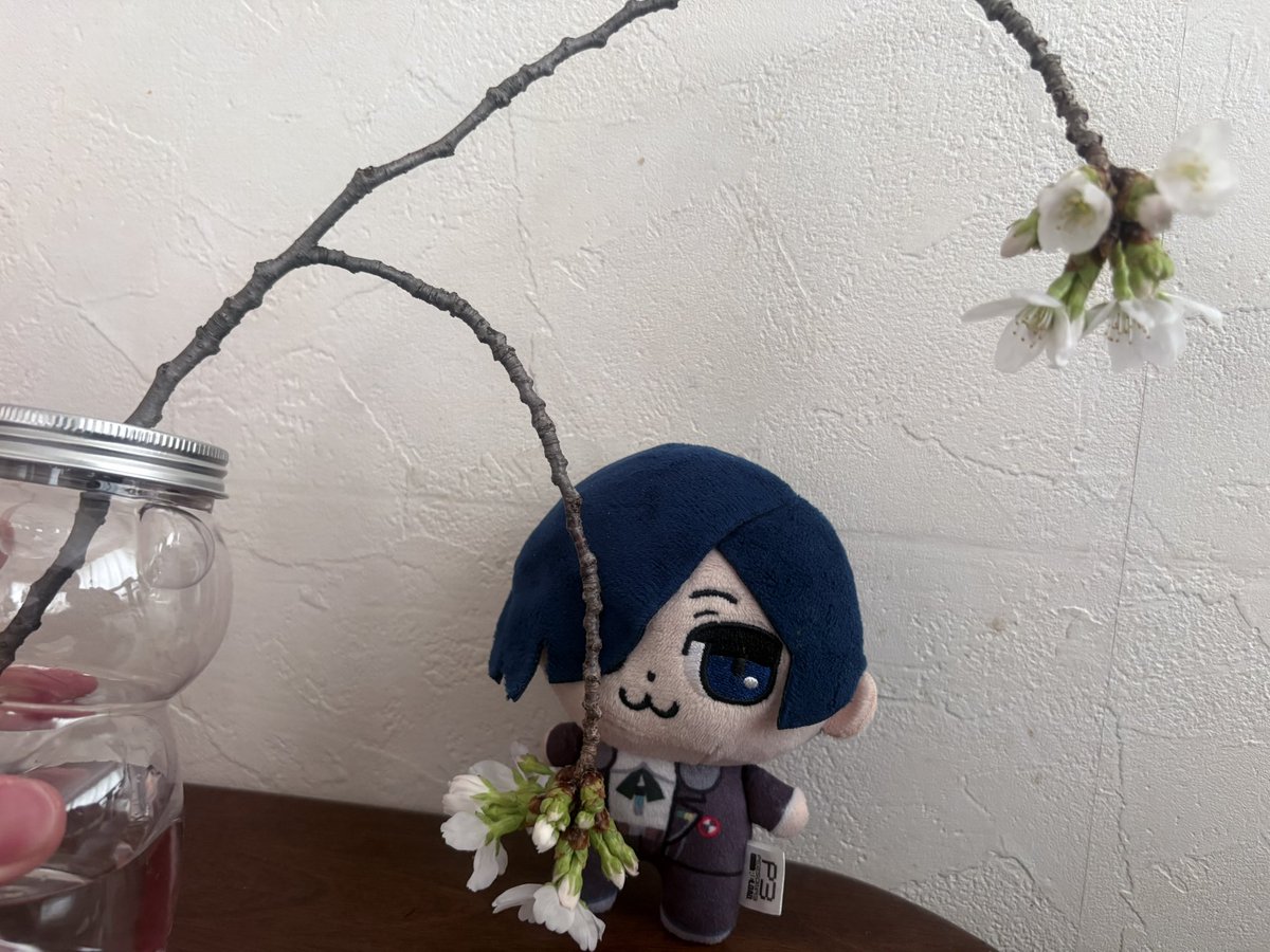 ナッシ tweet media