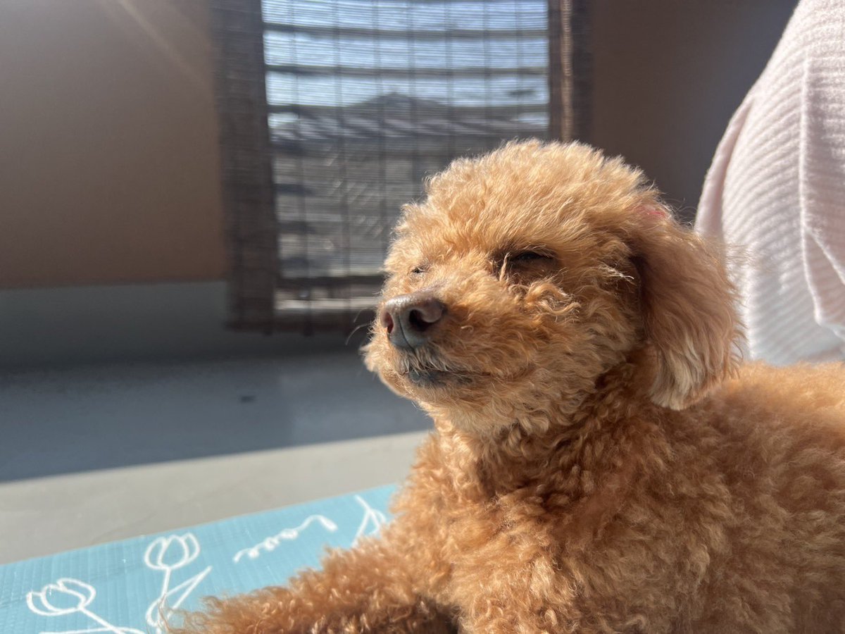 🌸2011.10.11（14歳5ヶ月） tweet media