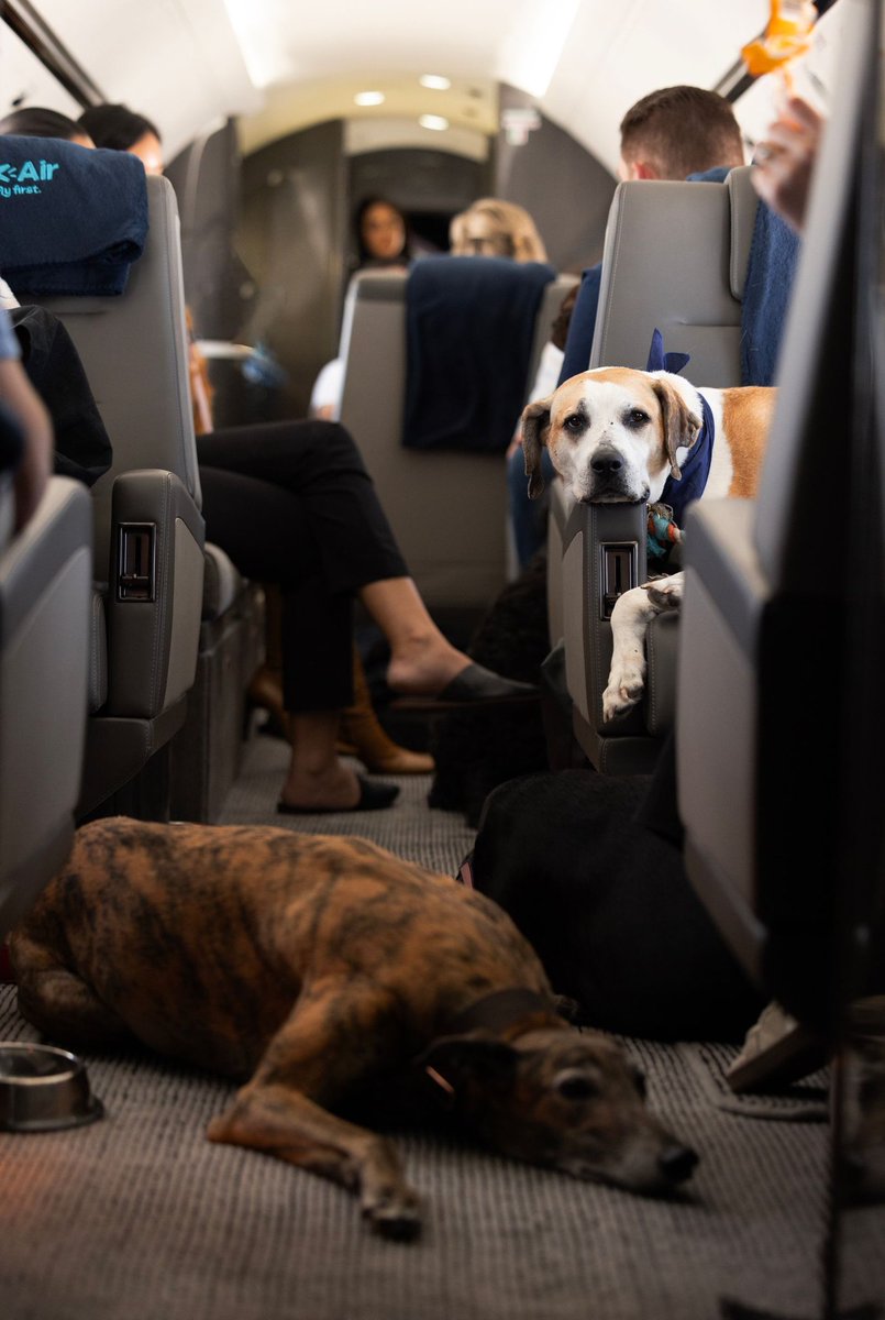 🪬Autonomous Allie Zone🪬Ⓥ tweet media