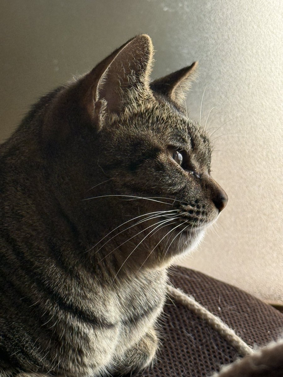 りーた。 tweet media