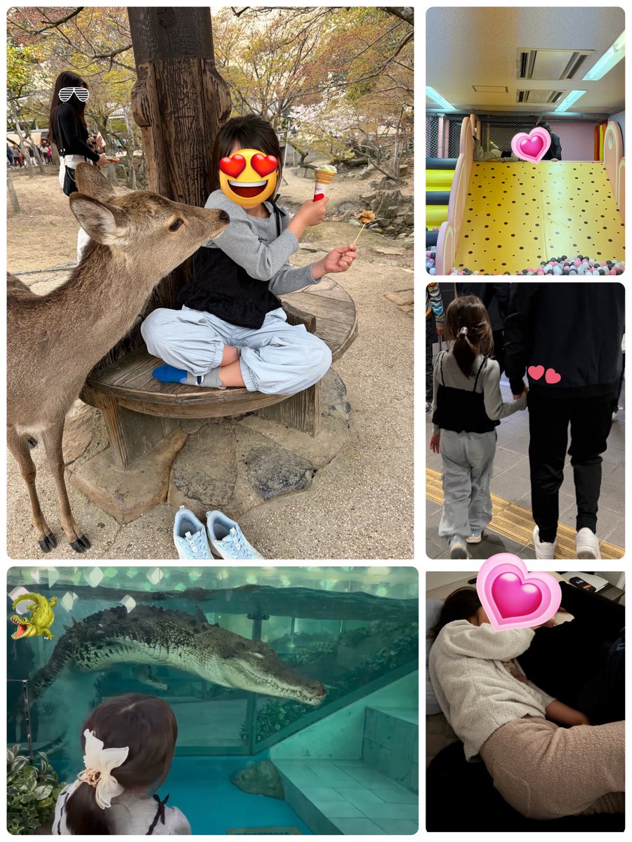 ひまたーーん💗@メイプルM tweet media