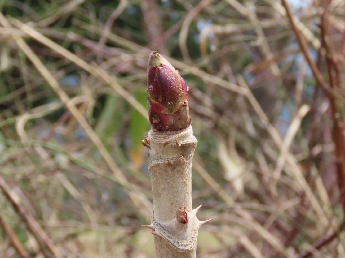 Human Cesspool tweet media