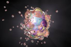 Evelio González Prieto tweet media