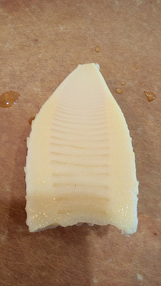 流山市議会議員　西尾だん tweet media