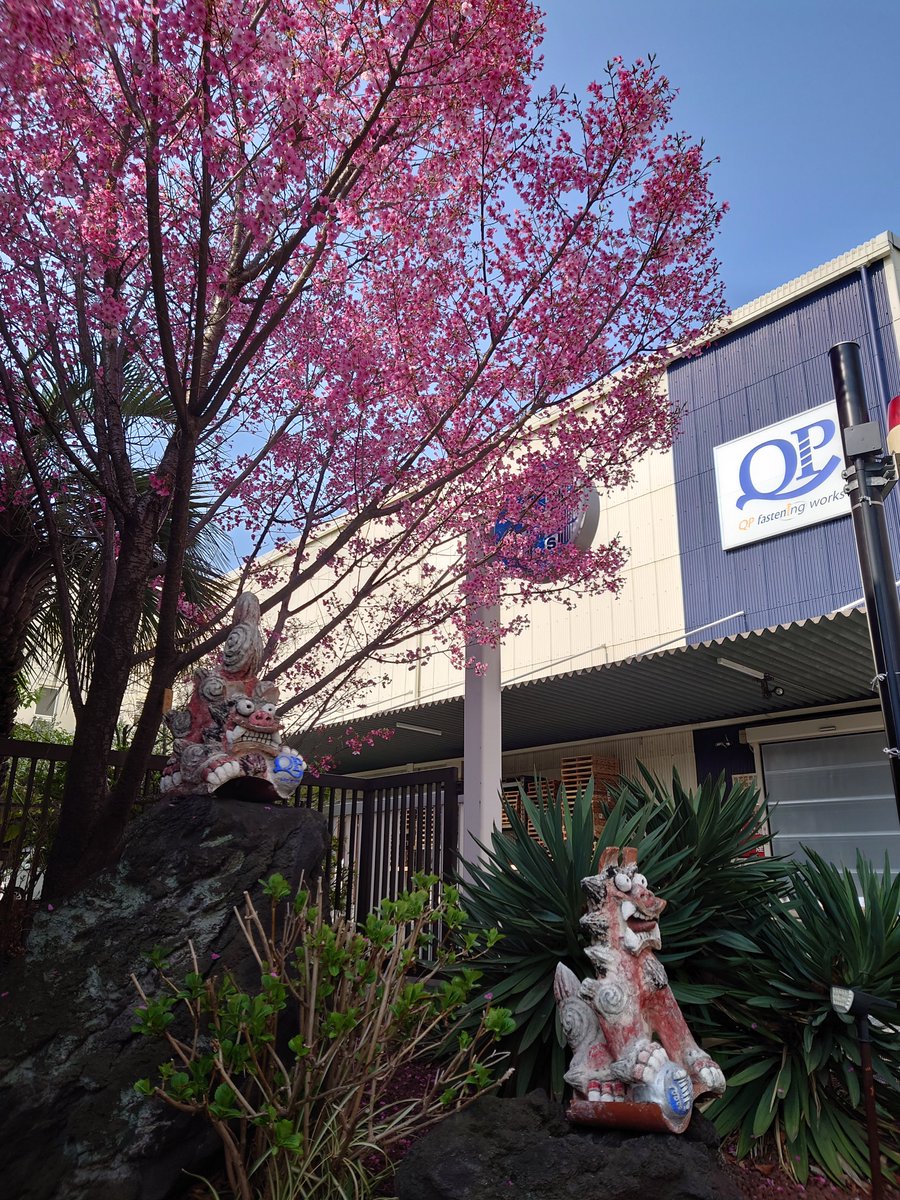 株式会社九飛勢螺～QP Fastening works～ピアスビス＆ピアスタ＆ファスナーズ tweet media