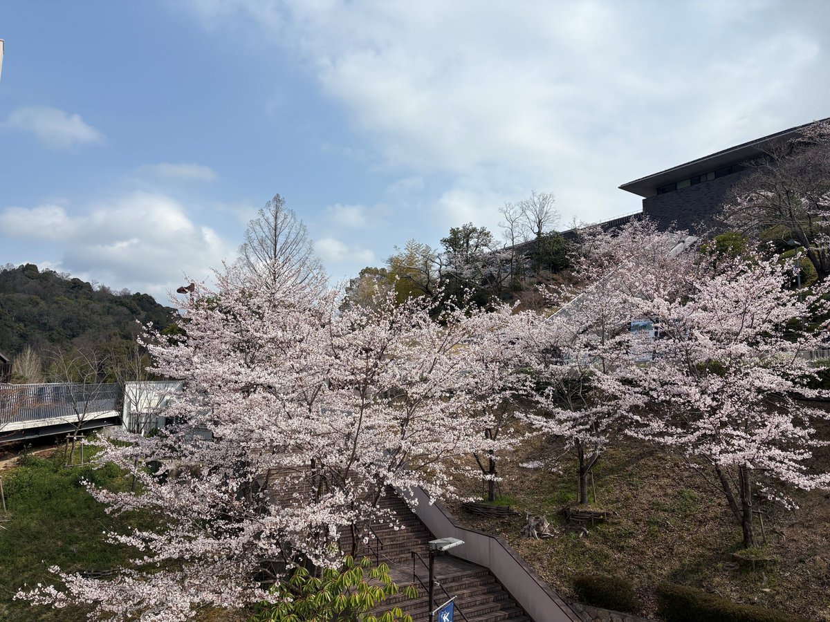 InnocenKSU's tweet photo. 4月Innovationラボのオープンデイは９日（木）から。
 毎週 火・木 12:00–18:00／予約不要。火曜日もオープン！
場所は4号館3階（オレンジ色の扉）。
アイデア相談・壁打ち・ピッチ練・仲間探しまでOK。気軽にどうぞ！
#Innovationラボ #オープンデイ #起業 #アイデア https://t.co/2XWW8OxB5x