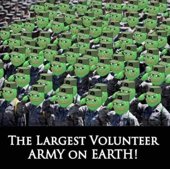 🐸Frogs2Destroy🐸 tweet media