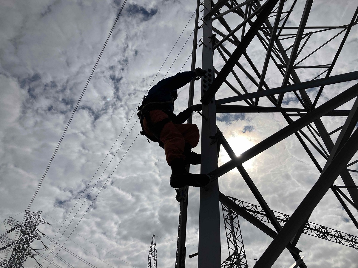 東京電力パワーグリッド株式会社 tweet media