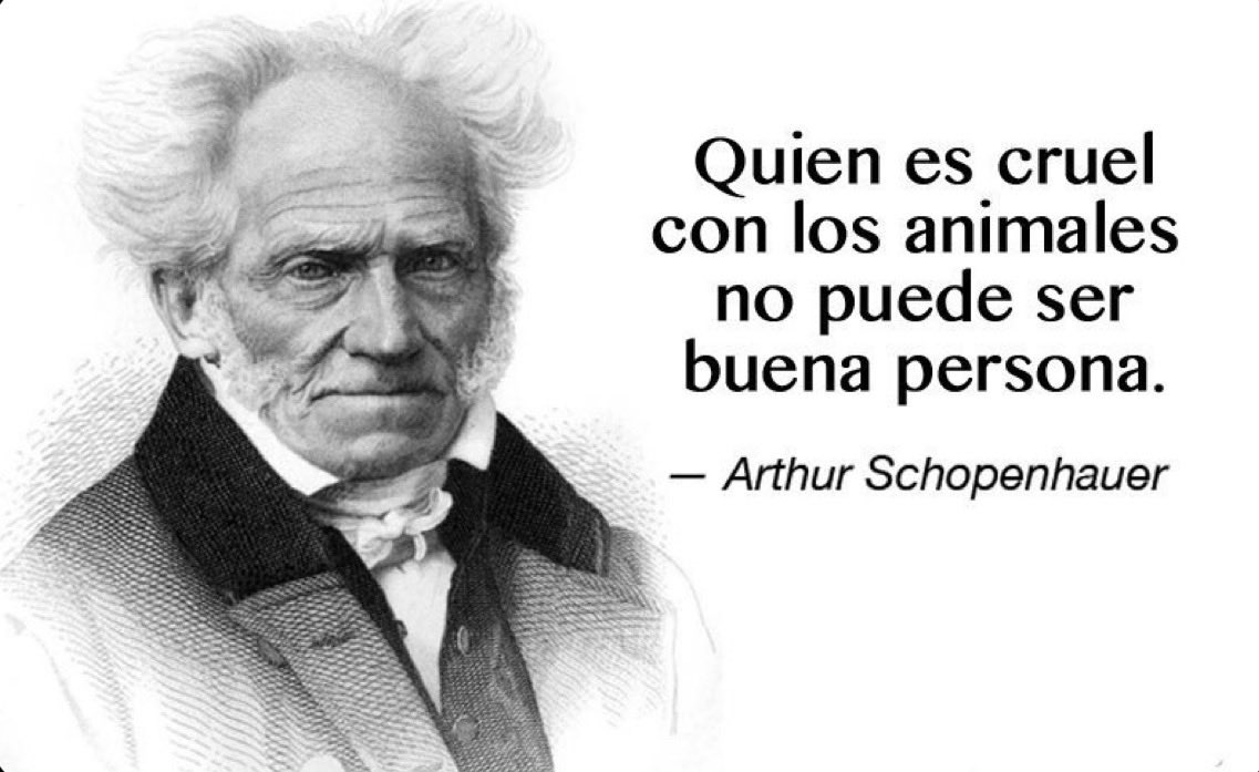 El rodeo es maltrato animal #NoAlRodeo