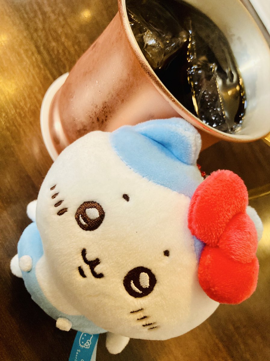 にゃんこおれ🐾 tweet media