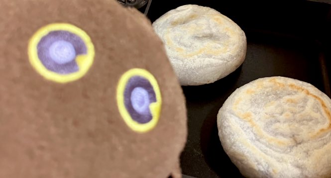 食べることが好きなクリボー tweet media