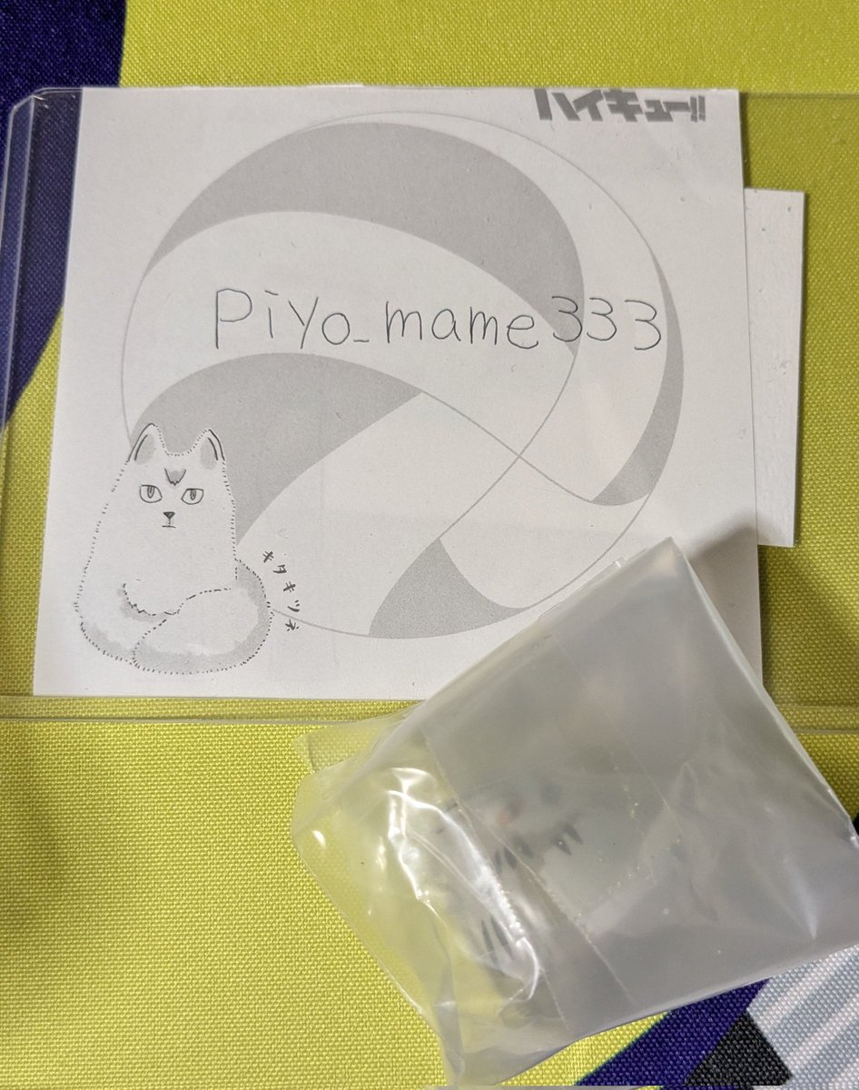 ぴよこ豆 tweet media