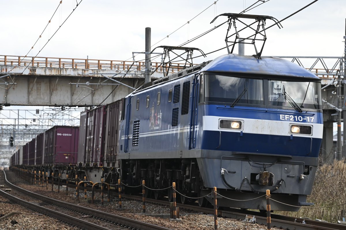 自称メロンの王🌸(5/30 Wishing Umbrella参戦) tweet media