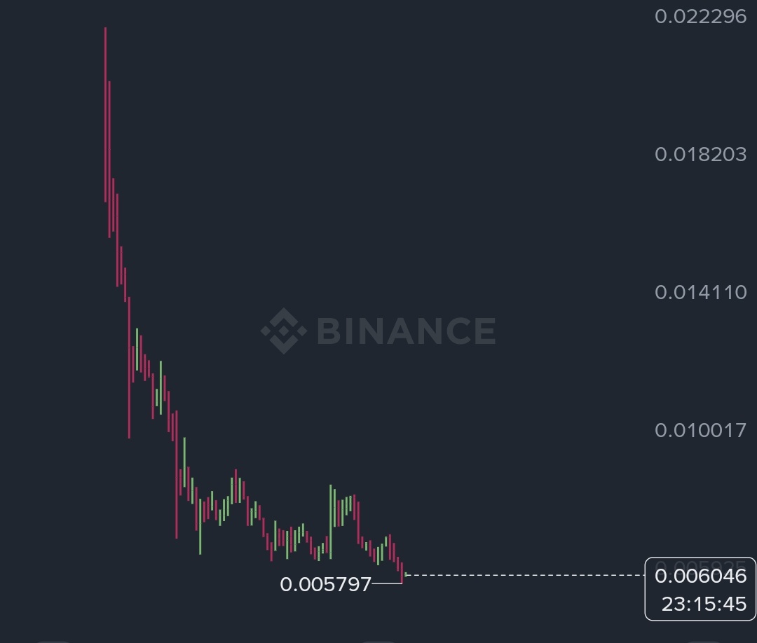 ᑕᖇyᑭto ᒪogiᔕt 🐔 - ᝰ.ᐟ tweet media