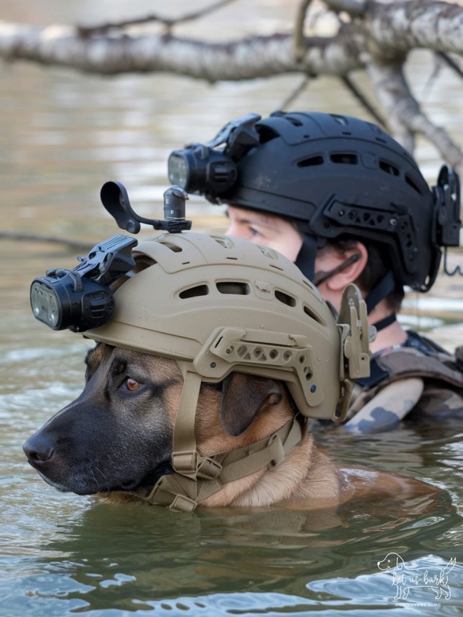 Puppies 🐶 tweet media