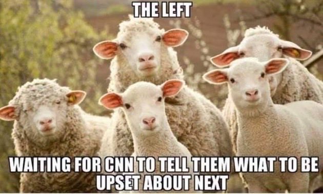 MIKEQP3.0 tweet media