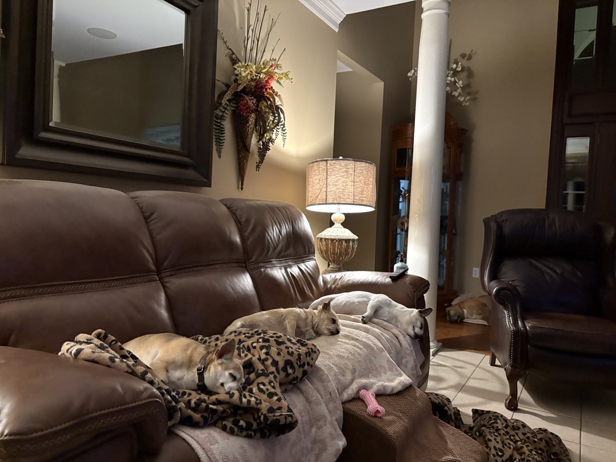 Avery Banks tweet media