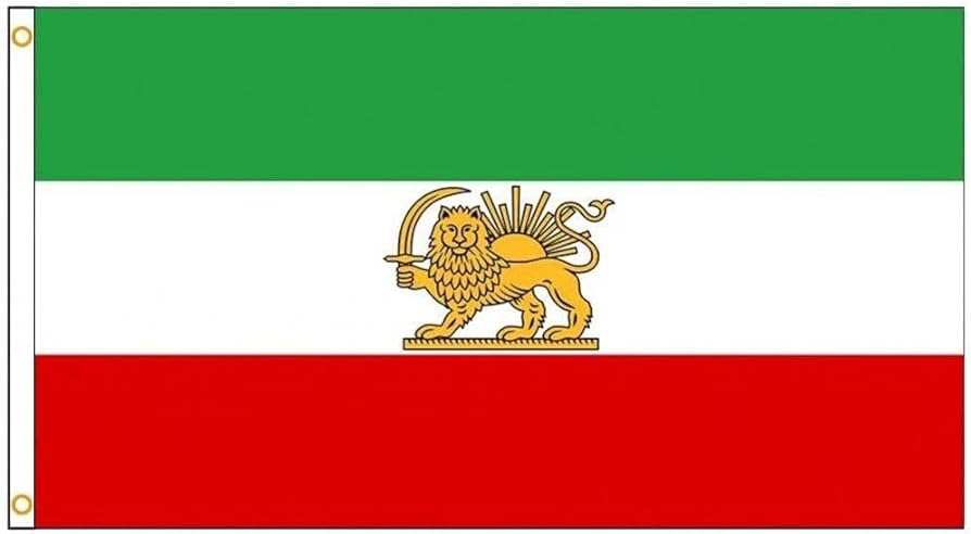 Mostafa Zarey 🇮🇷 tweet media