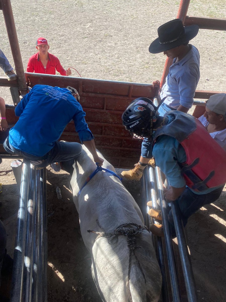 Cañón Digital tweet media