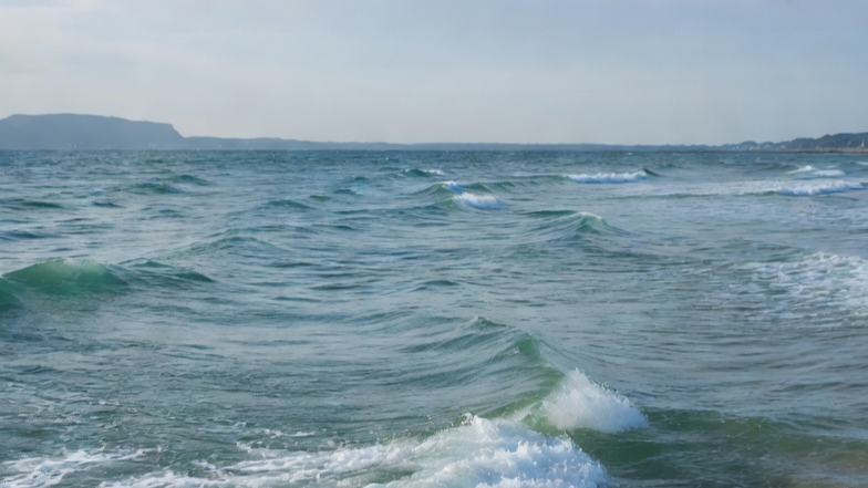 きんた tweet media