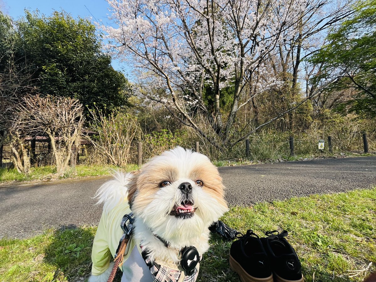 まい＠ECマーケティング｜Shopify｜アートトレーディング株式会社 tweet media