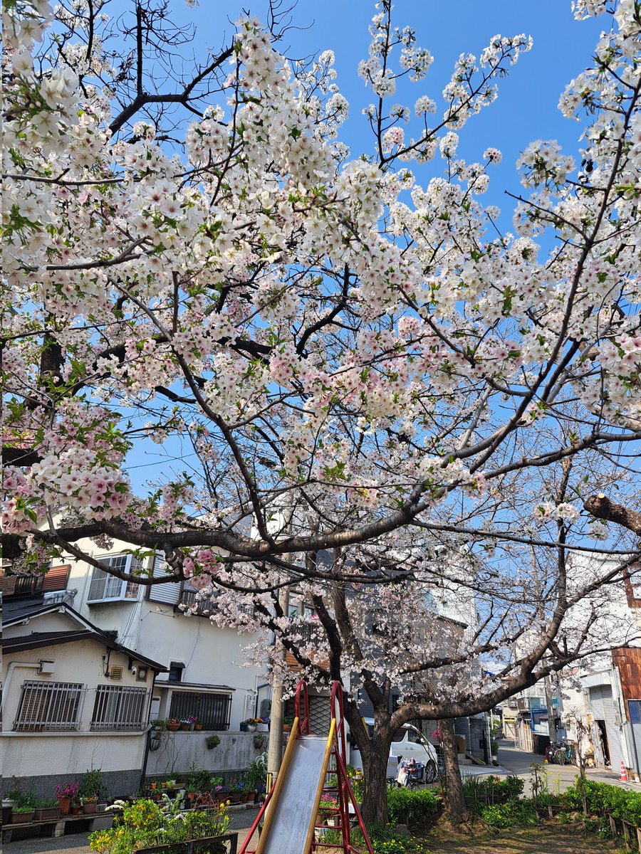 俺の風. Ver.10🚻 tweet media