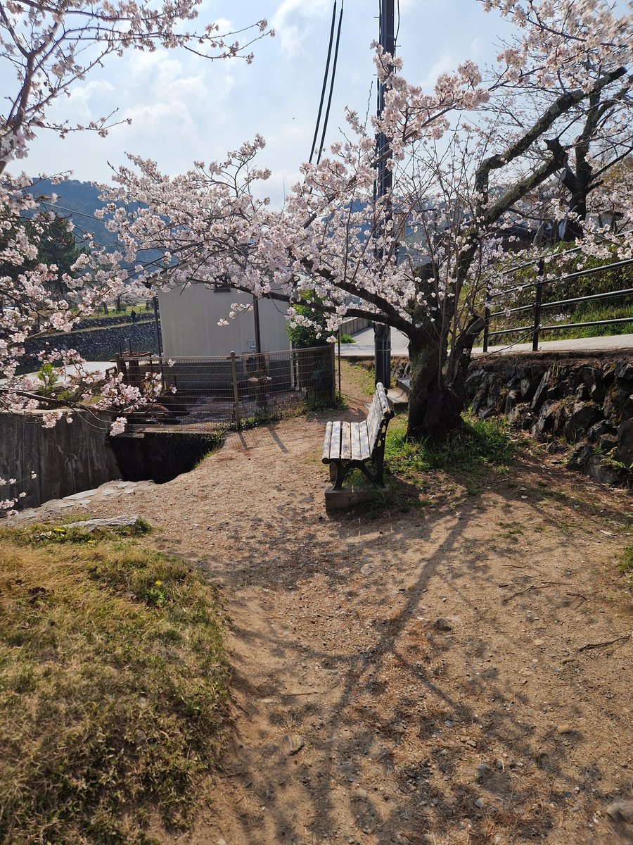 Jonpetit tweet media