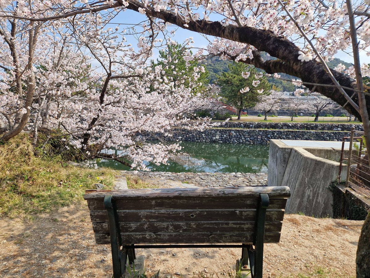 Jonpetit tweet media