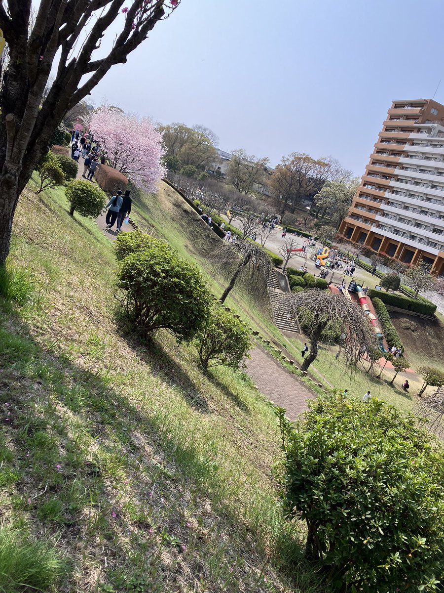 ameka___'s tweet photo. かにが沢さくら祭り🌸
たまに来ている公園。
初めて電車で行ったけど、相武台前駅から徒歩5分くらいだった😳
我が子が好きな傾斜が大量にあるし、遊具に夢中になっていたり、消防車に並ばず乗られたり、かなり楽しんでいた♪
全体的に人混みがなくベビーカーでも歩きやすかった(^^)
#かにが沢公園 https://t.co/PLHn3OZomT