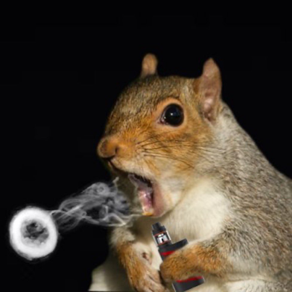 Cryptopia tweet media