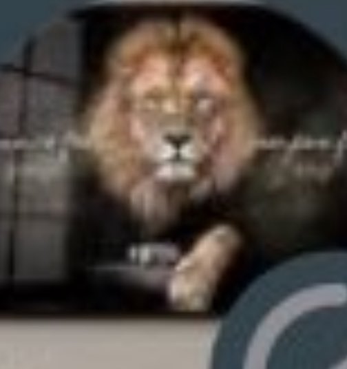 emy𝟅𝟈 tweet media