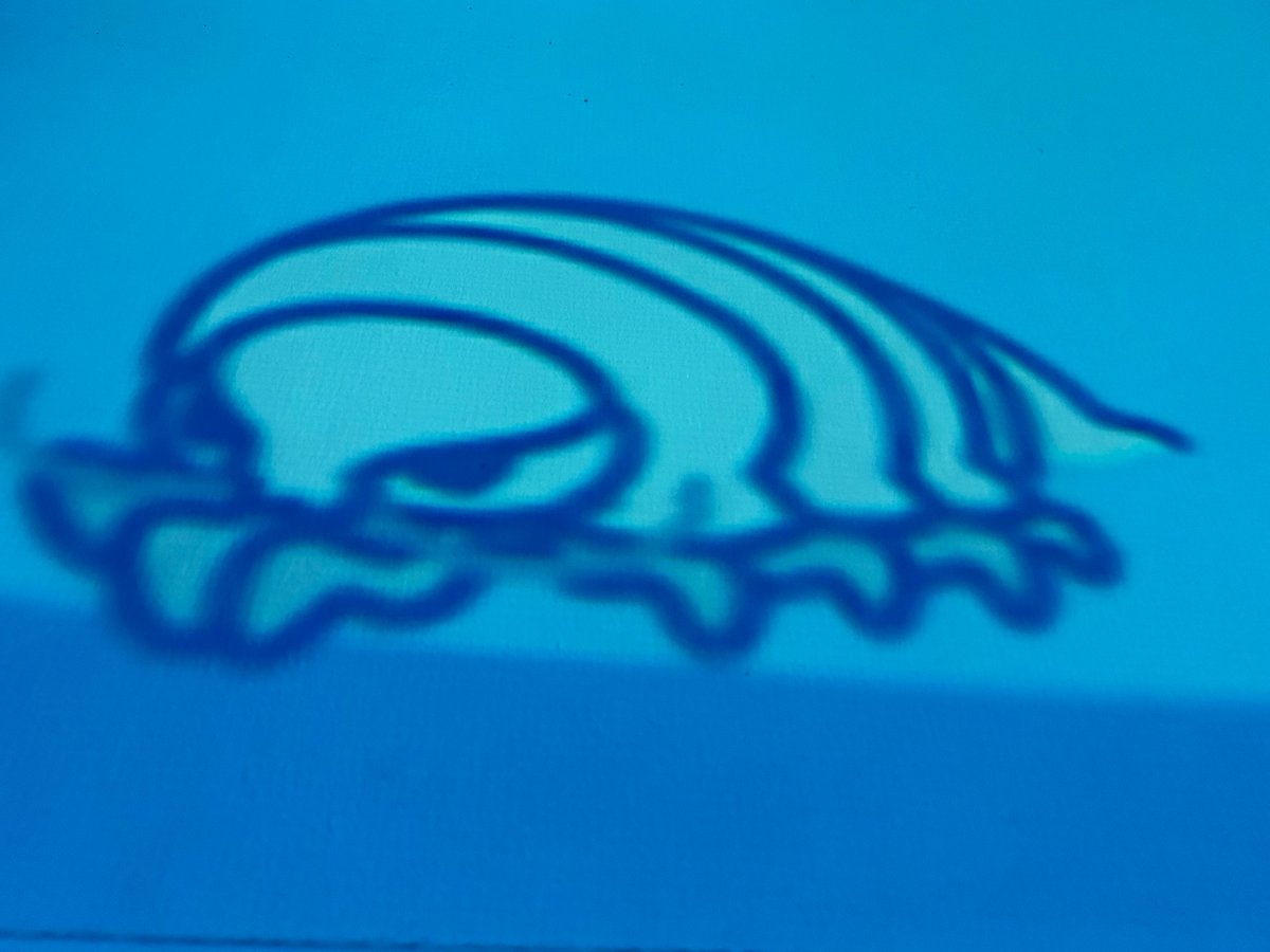 ぱっち tweet media