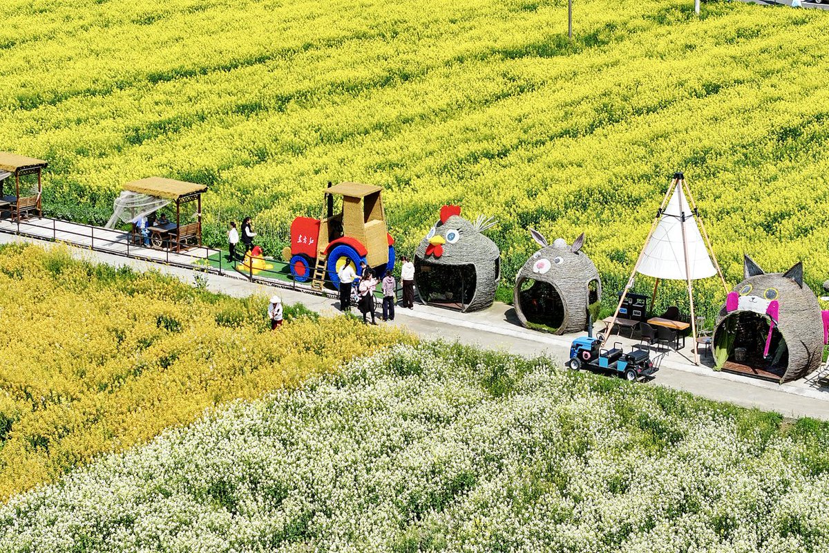 NiceYa🇨🇳 tweet media