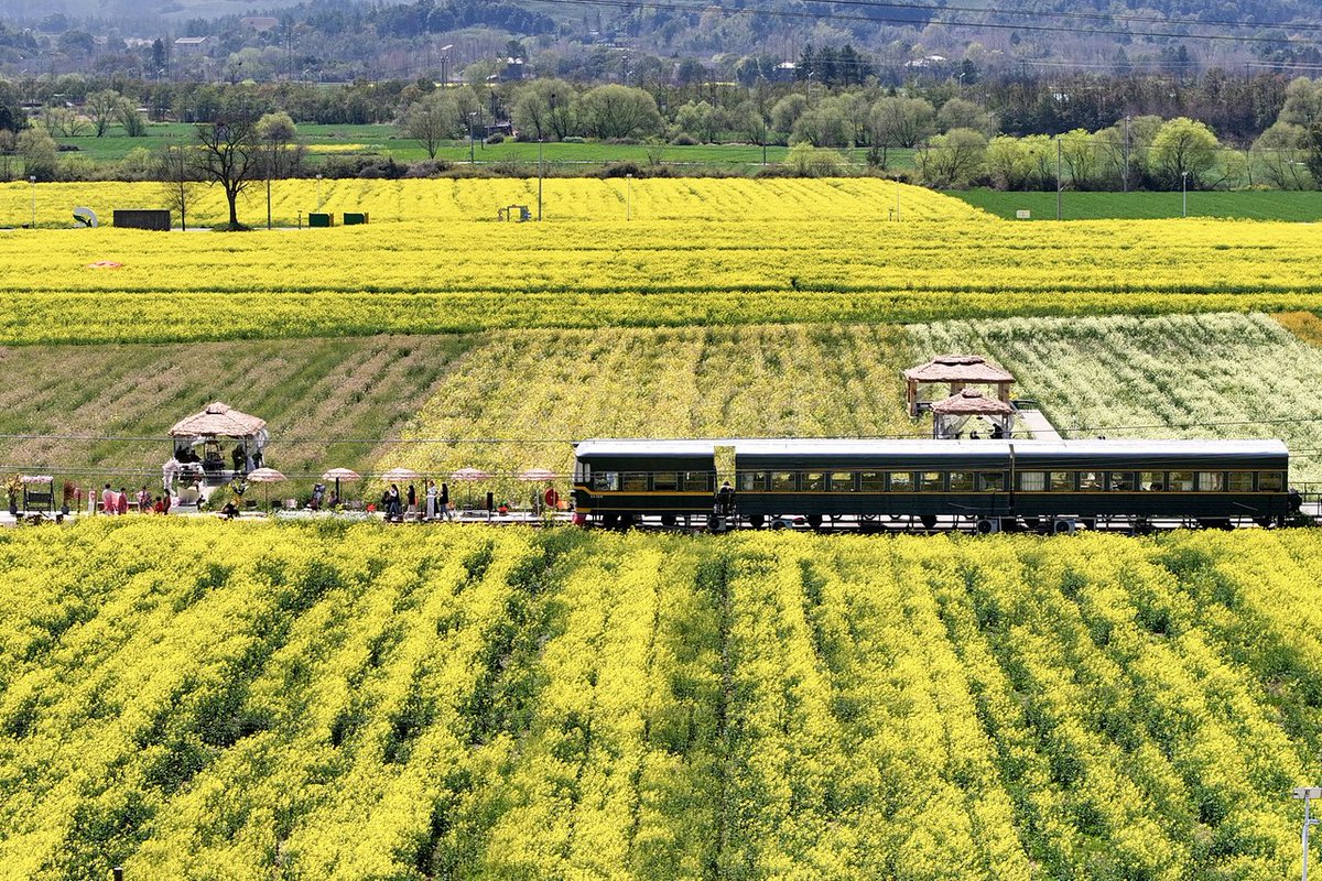 NiceYa🇨🇳 tweet media