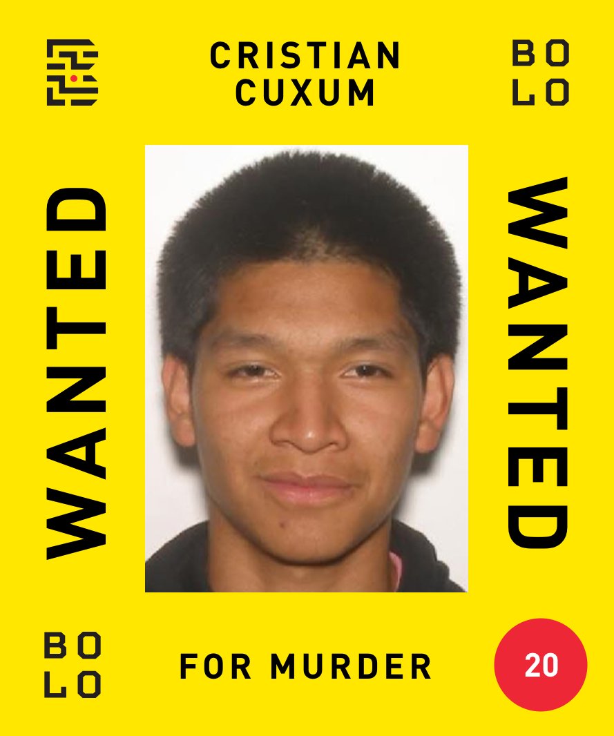 Bolo Program | Programme Bolo tweet media