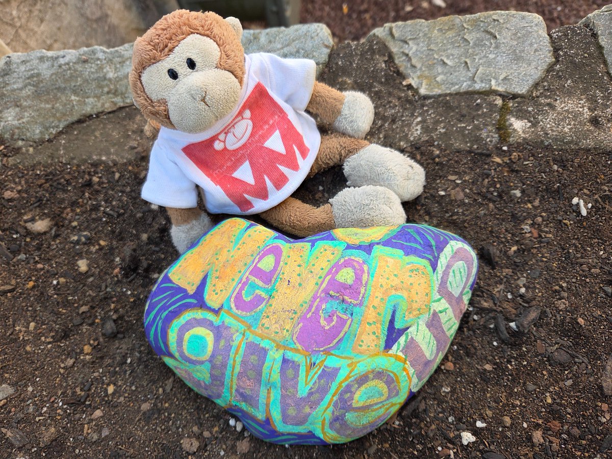 Never Give Up! That's the positive message colorfully painted on a rock I found outside of <a href="/BackyardBeans/">Backyard Beans Coffee Co.</a> in Lansdale, PA!