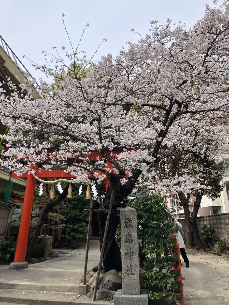 colocoコロコ/神戸市三宮駅シェアオフィス＆コワーキングスペース tweet media