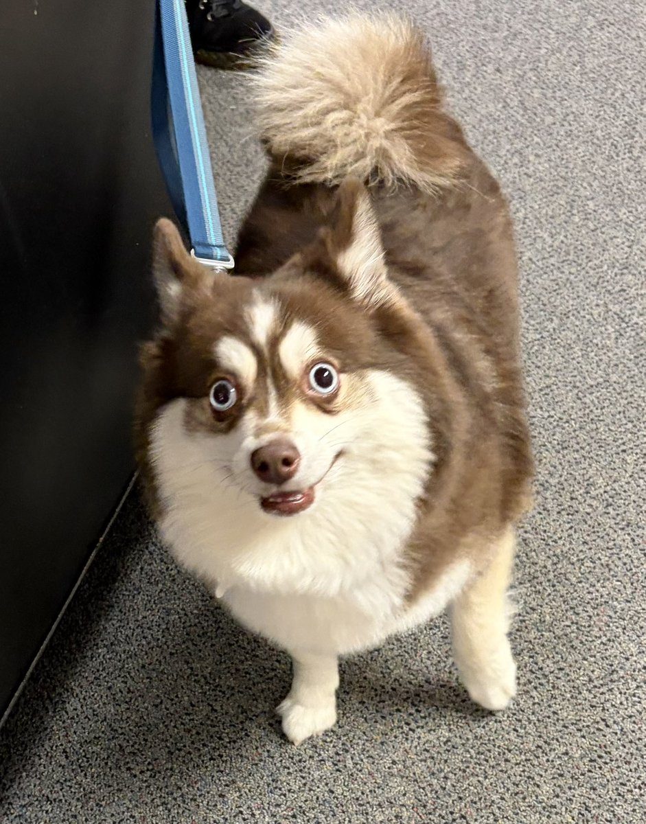 Barry Levy tweet media