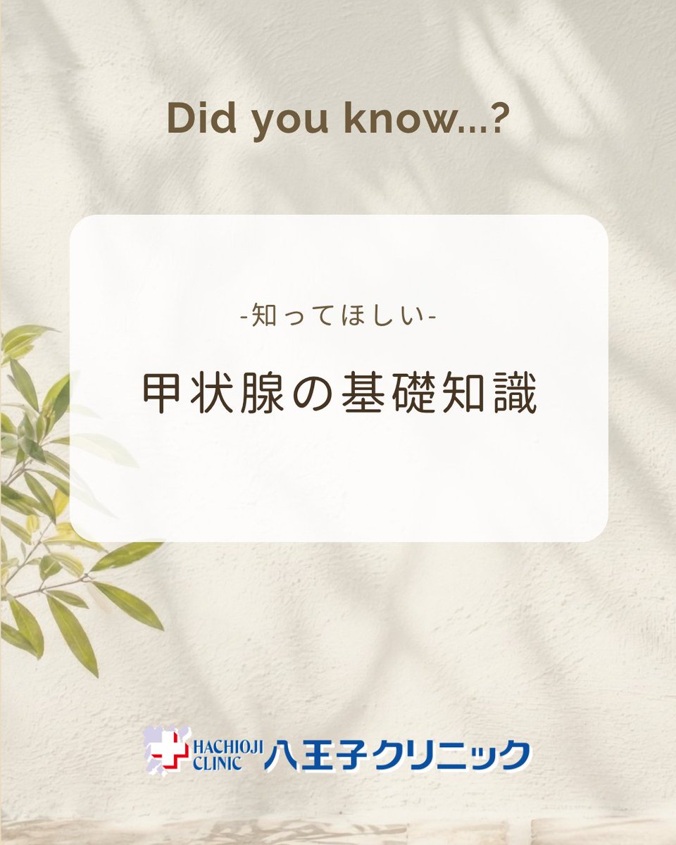 hachicli's tweet photo. 甲状腺は代謝を調整する重要な臓器。ホルモンが多いと動悸・発汗・体重減少、少ないとむくみ・だるさ・体重増加の原因に。気になる不調は甲状腺の影響かも。当院では血液検査(FT3・FT4・TSH等)で確認可能(11,000円)。お気軽にご相談ください。
#甲状腺 #八王子クリニック https://t.co/gLXQkFP8H7
