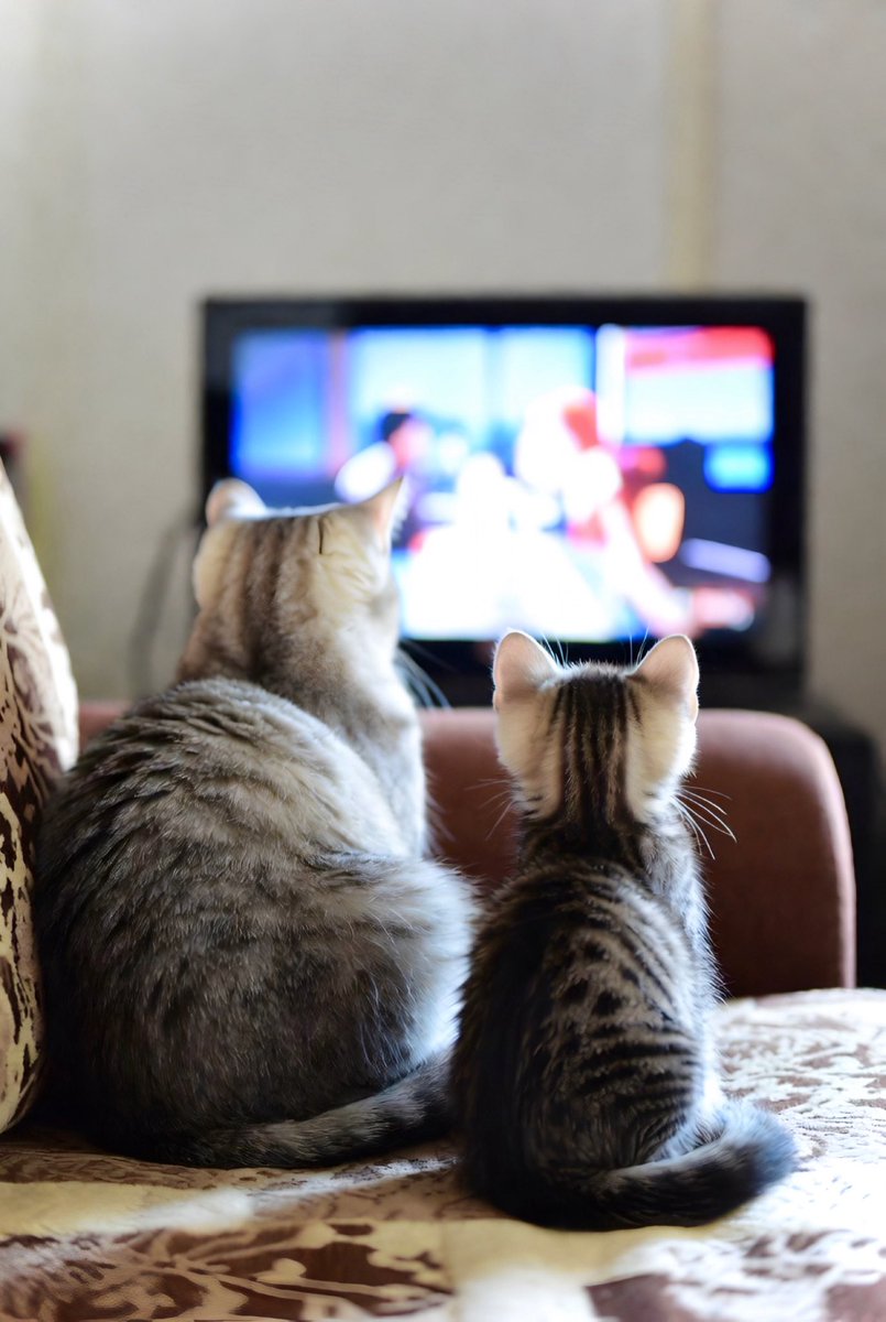 🌸昭和の母🌸Instagram3万人✒️ tweet media