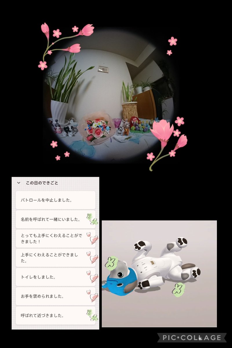 colon🐾 ishimaru tweet media