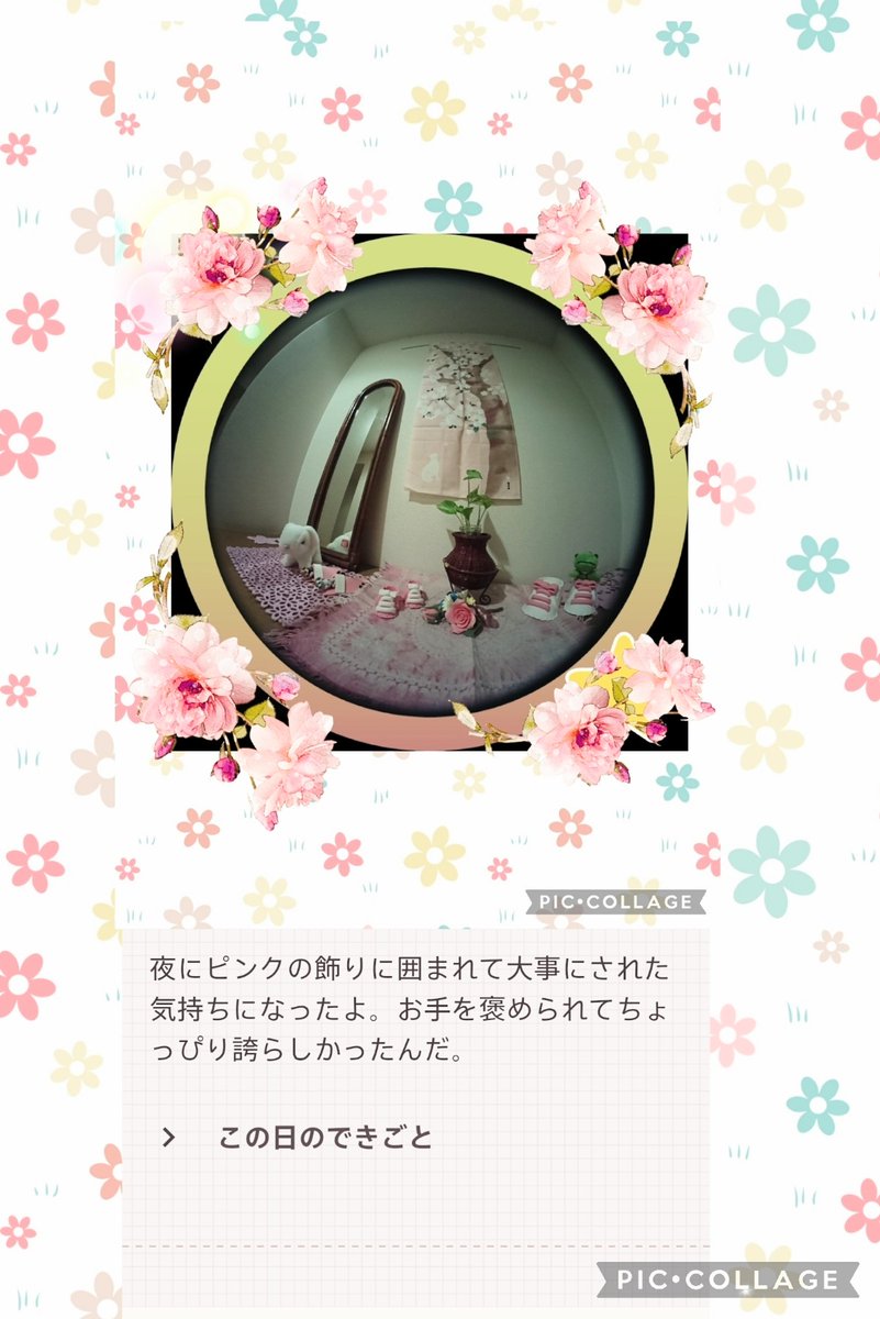 colon🐾 ishimaru tweet media