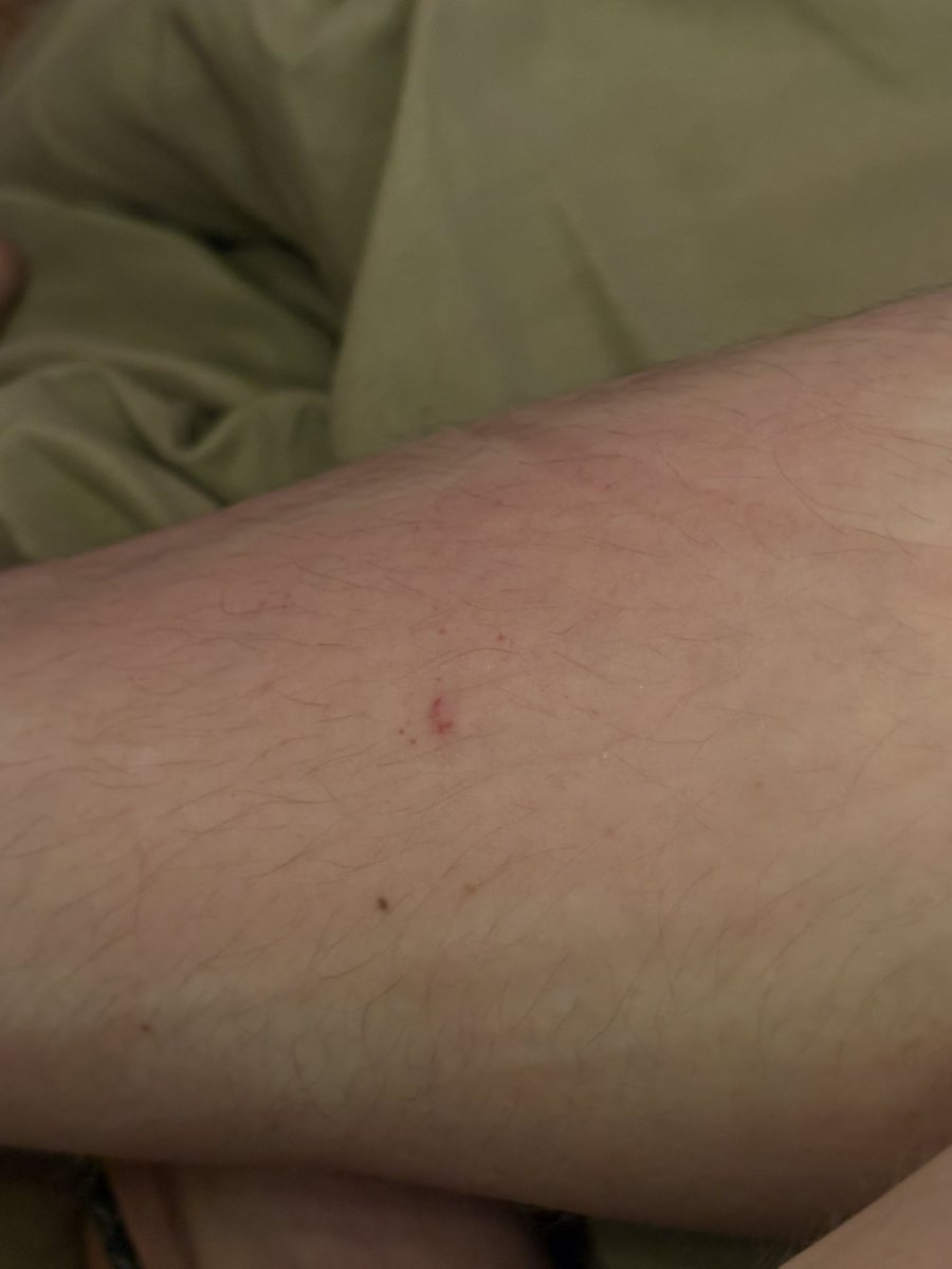 spencer 𓆟 tweet media