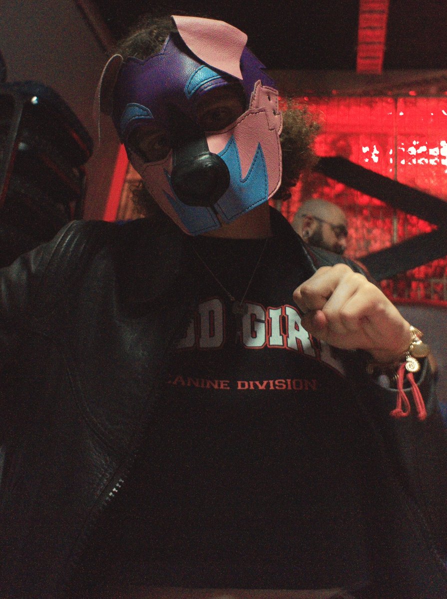 slippy🦉 tweet media