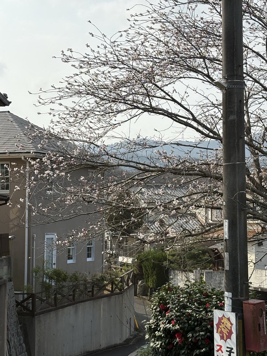 khappy1964's tweet photo. 今年も自宅前の桜🌸咲き始めました☺️ https://t.co/0ioP4yBorJ