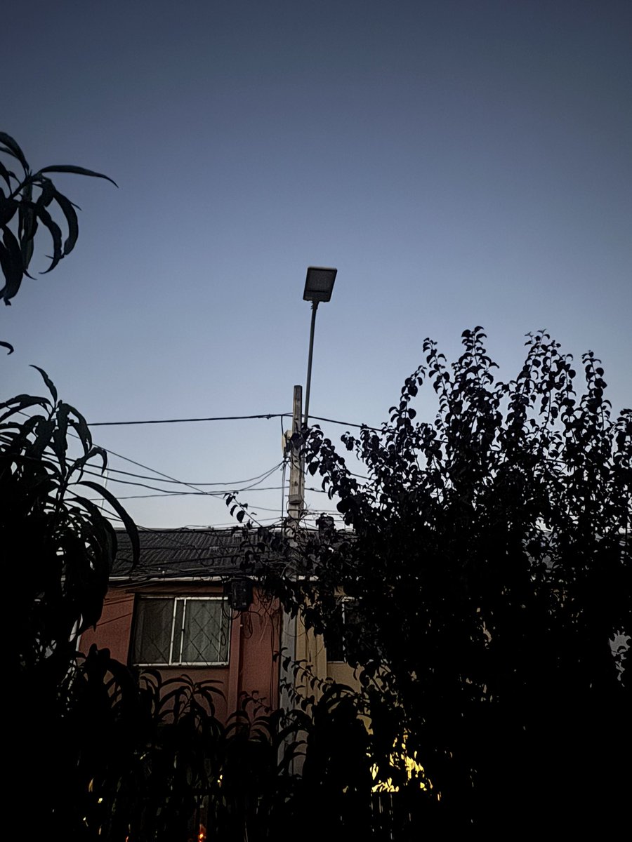 Jocy ✨ tweet media