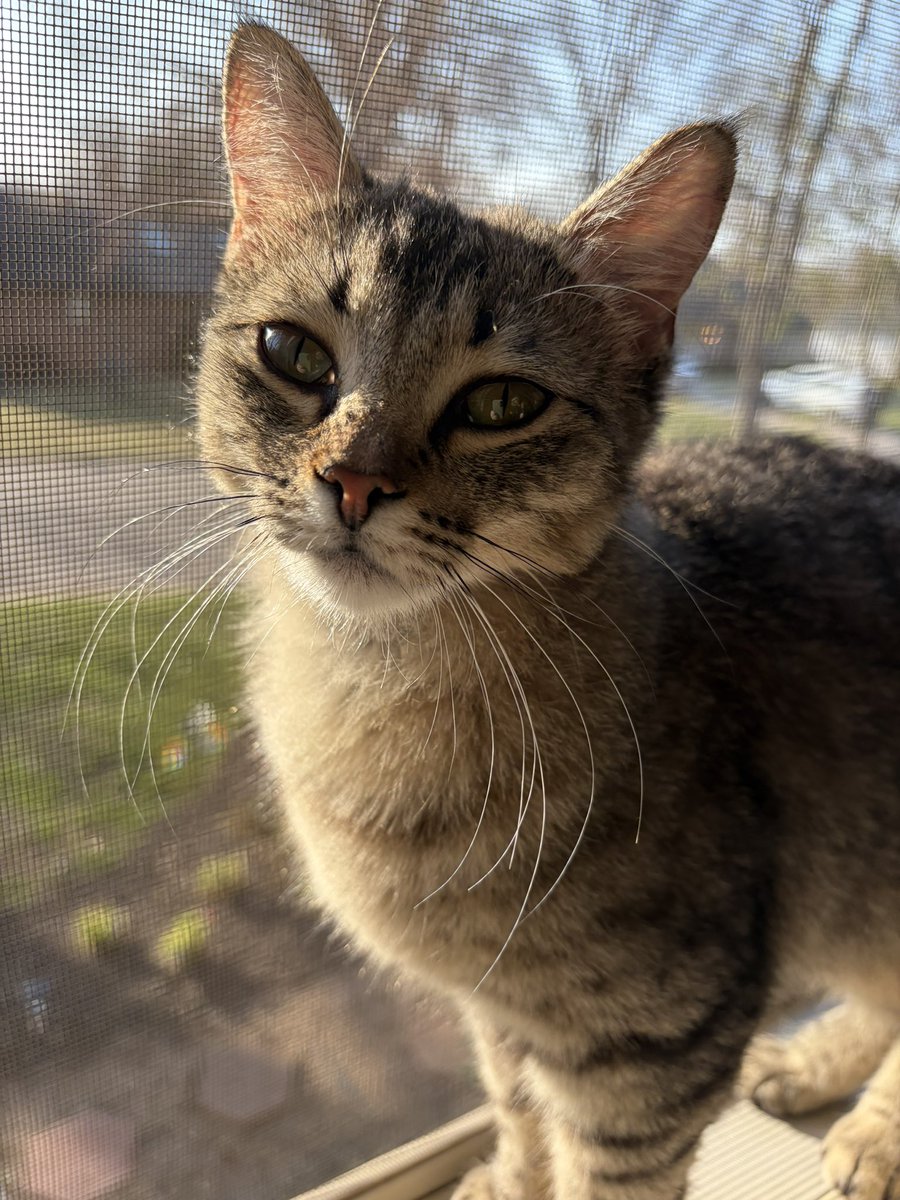 alli. ✨ tweet media