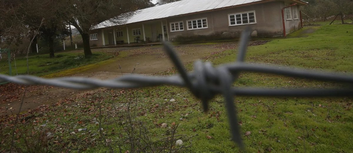 PIENSAPRENSA 360 mil Seguidores tweet media