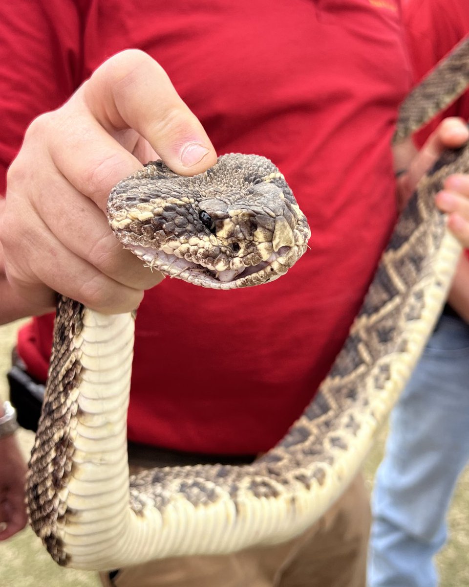 Neal McCoy tweet media