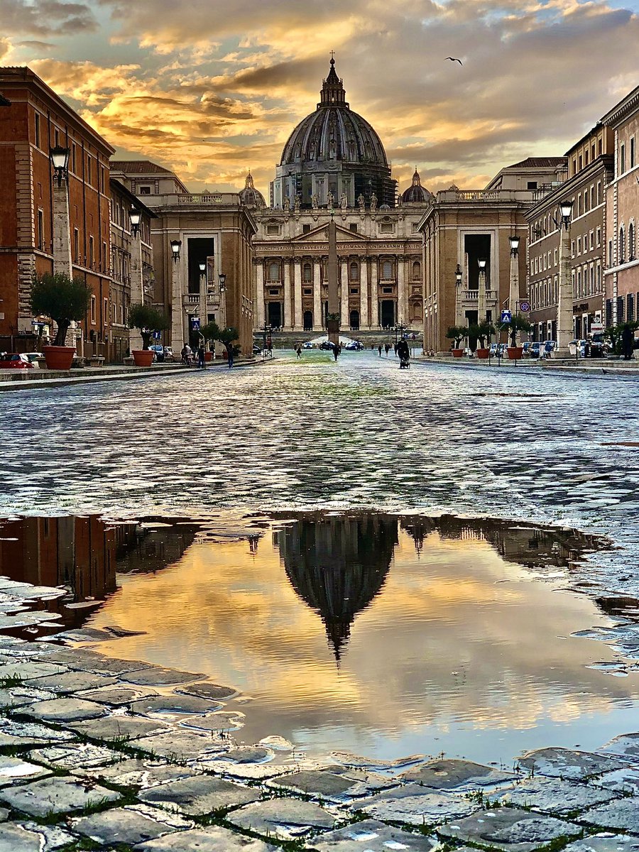 Bree A Dail tweet media